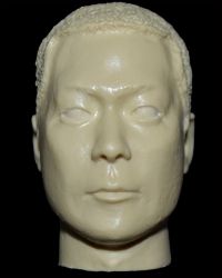Asian Head Sculpt (Version Four)